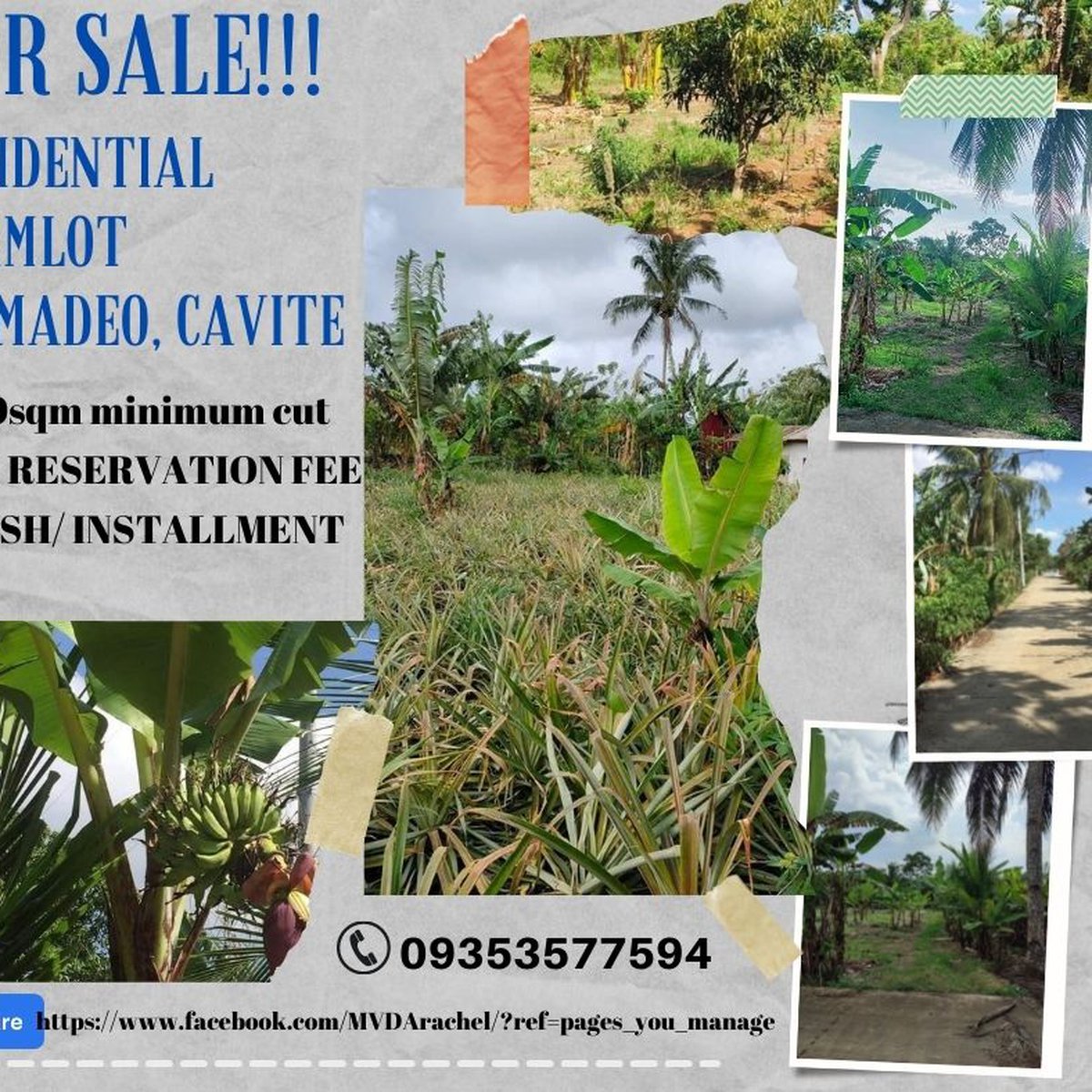 150 sqm Residential Farm For Sale in Amadeo Cavite [Lot 🚜] (December