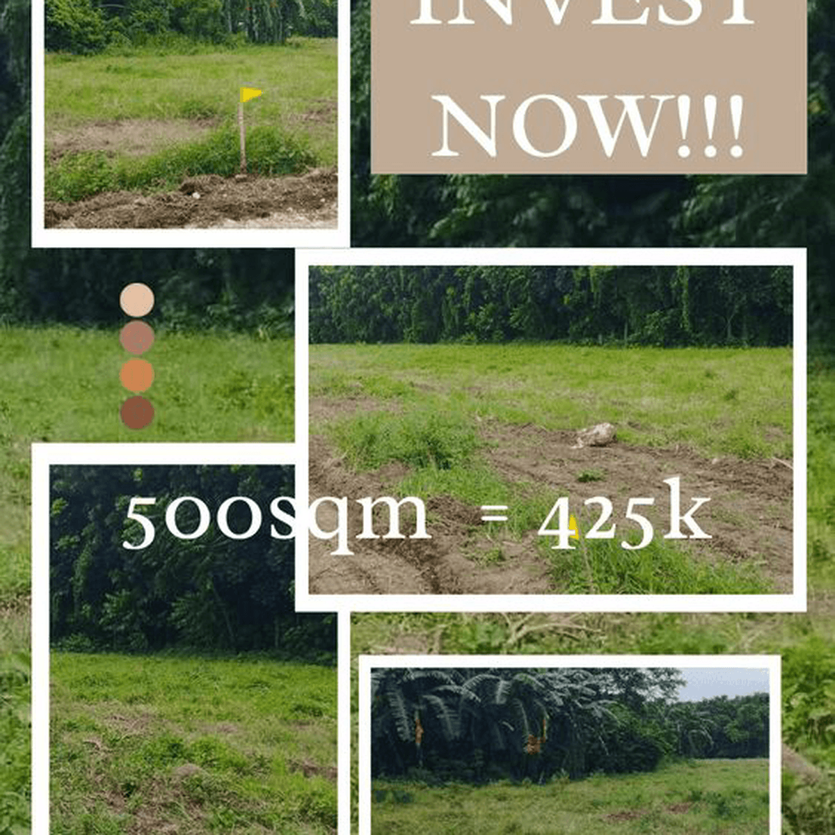 AFFORDABLE MINI FARM LOT FOR SALE in SARIAYA QUEZON [Lot 🚜] (February