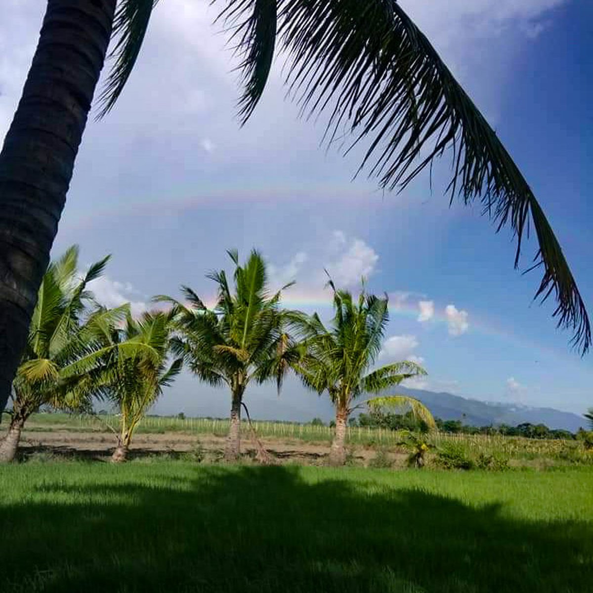 Family Owned Property Ideal for Farming, Resort, and Resthouse. [Lot 🚜