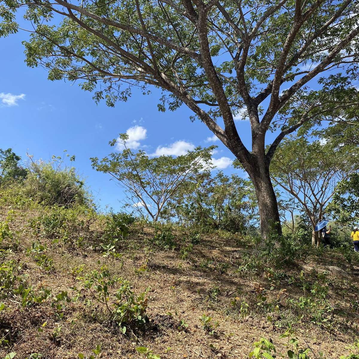 Residential Farm Lot For Sale in Bailen Cavite [Lot 🚜] (March 2024) in Cavite City, Cavite for sale