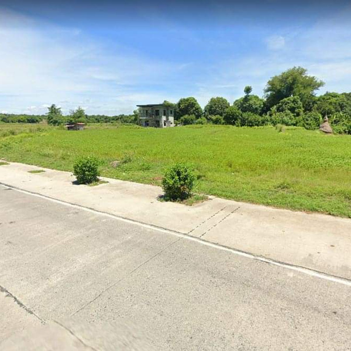 36000 sqm Lot For Sale in Rosales Pangasinan