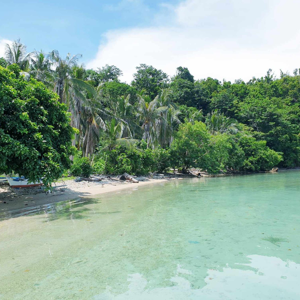 1 hectare Beach Property For Sale in Boayan Island,San Vicente Palawan