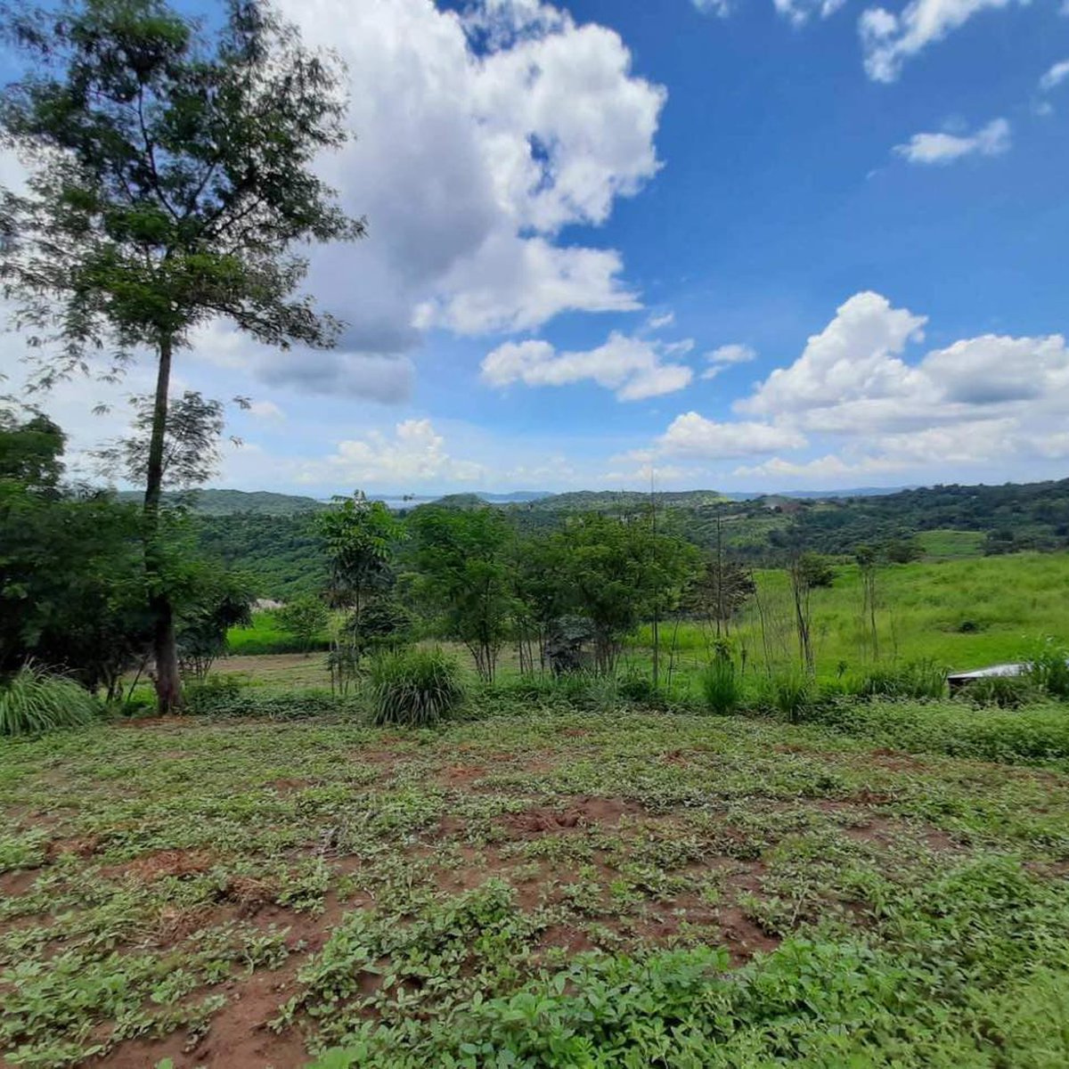 8.1 Hectares Agricultural Farm for Sale in Tanay,Rizal [Lot 🚜] (October