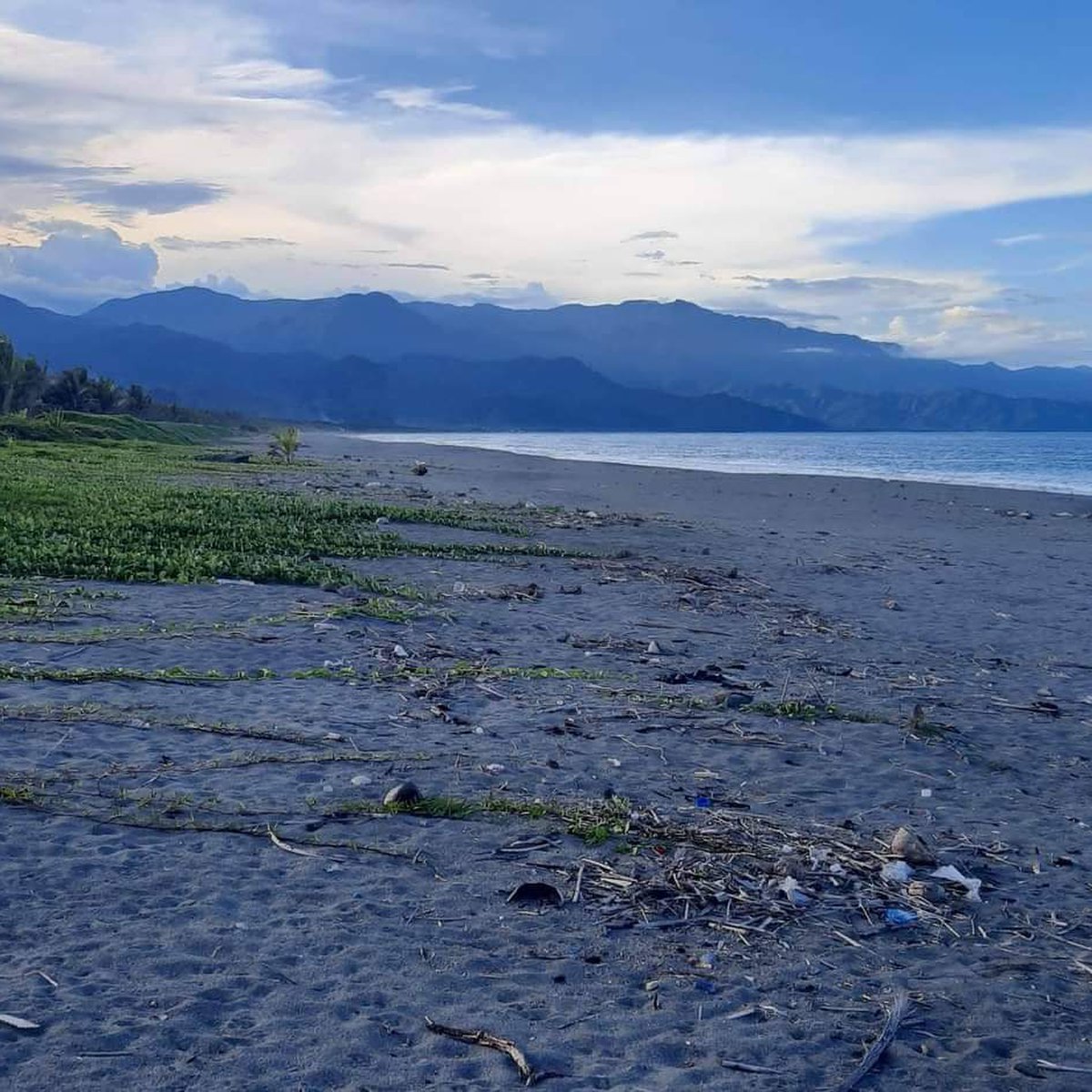 Beach front w/tittle Baler Aurora 2 hectares 2500 pesos per sqmtr