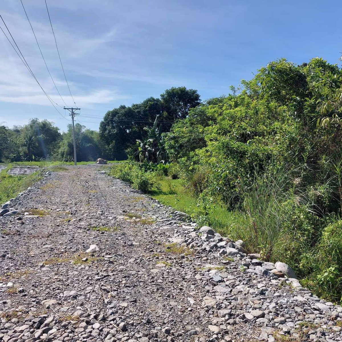 2.7 hectares Residential Farm For Sale in Aguilar Pangasinan [Lot 🚜