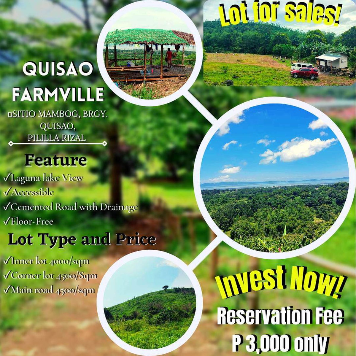 100 sqm Residential Farm For Sale in Pililla Rizal [Lot 🚜] (February