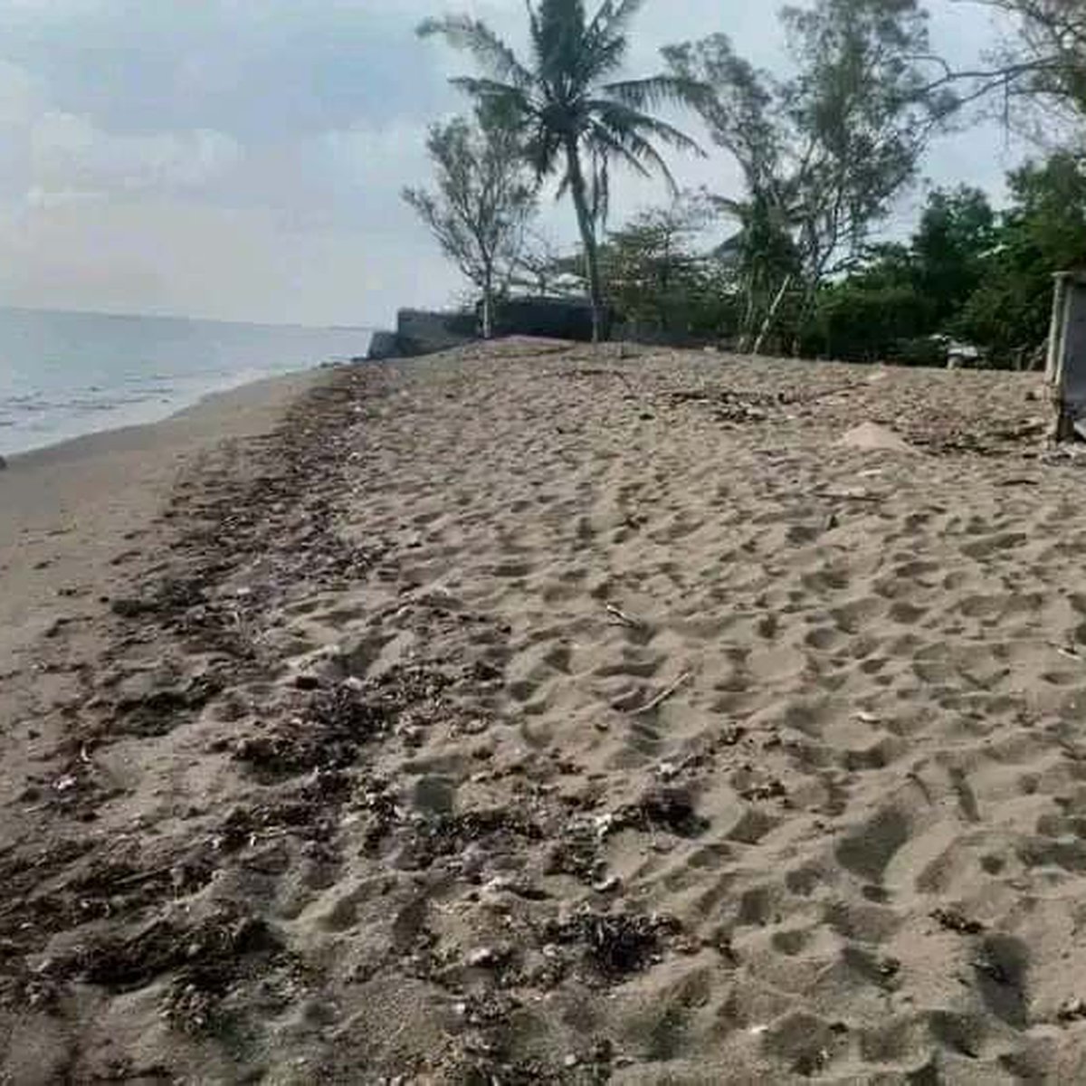 For Sale Beachfront Property in Iba Zambales [Beach Property 🏖️