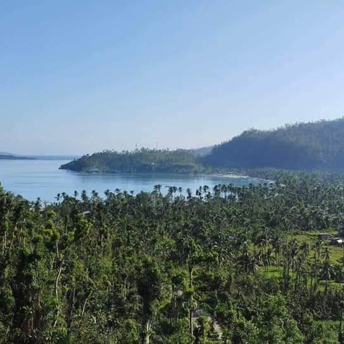 2,900 sqm Lot For Sale in Port Barton,San Vicente Palawan [Lot 🚜