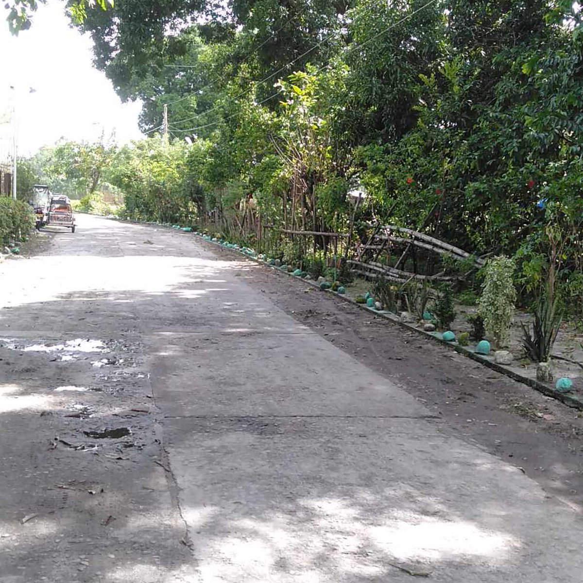 4,489 sqm Residential Lot For Sale in San Narciso Zambales [Lot 🚜