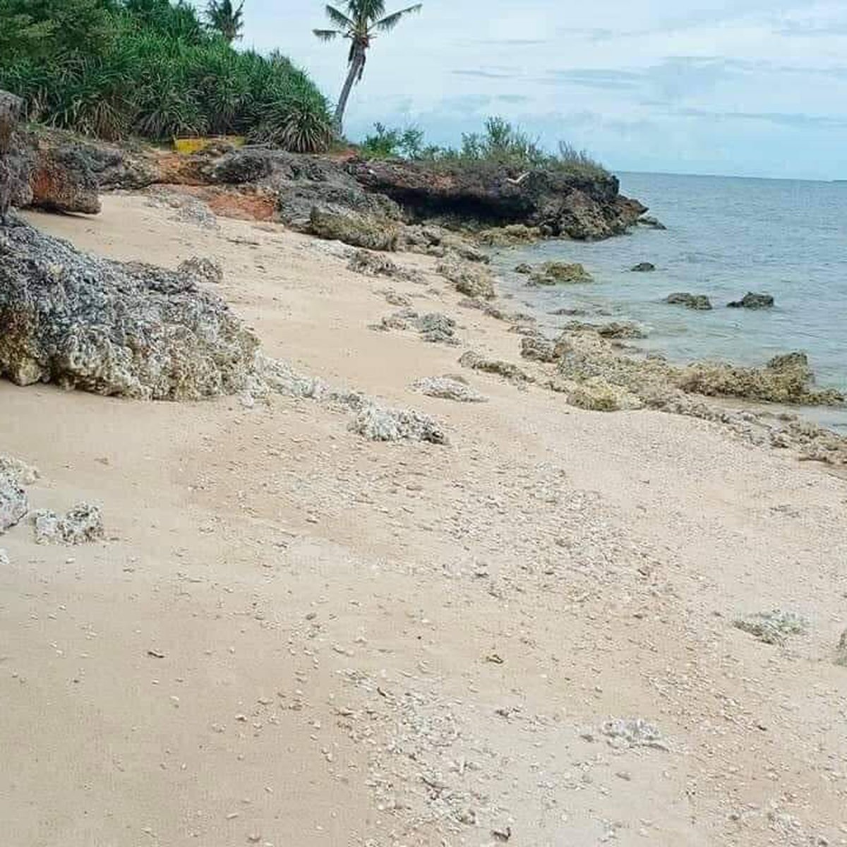 150 sqm residential lot for sale [Lot 🚜] (May 2022) in Daanbantayan
