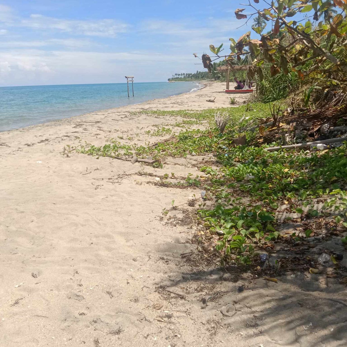 Beachfront For Sale in Romblon [Beach Property 🏖️] (September 2024) in Romblon, Romblon for sale