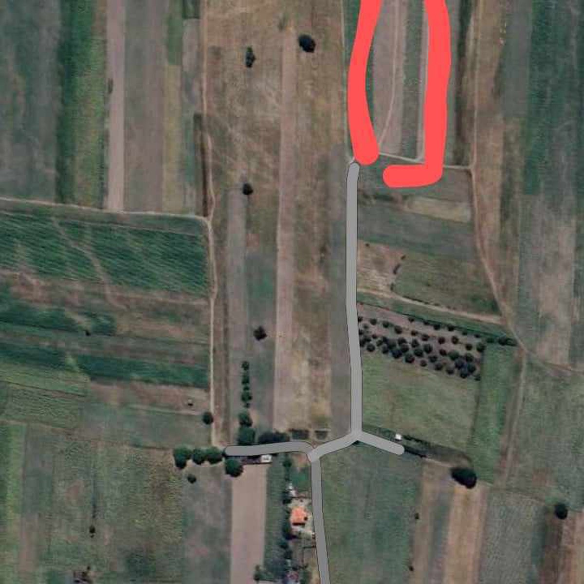 For sale farm lot 1.39 has, 200/sqm Pura tarlac [Lot 🚜] (February 2024