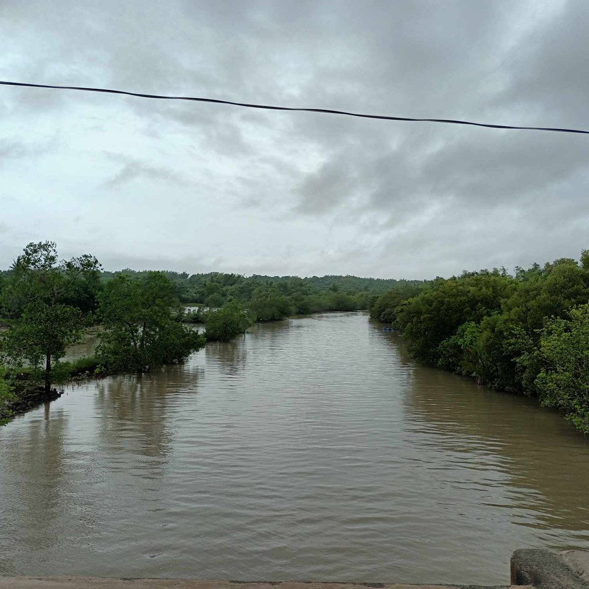 12.9has Agricultural Farm For Sale in Dasol Pangasinan [Lot 🚜