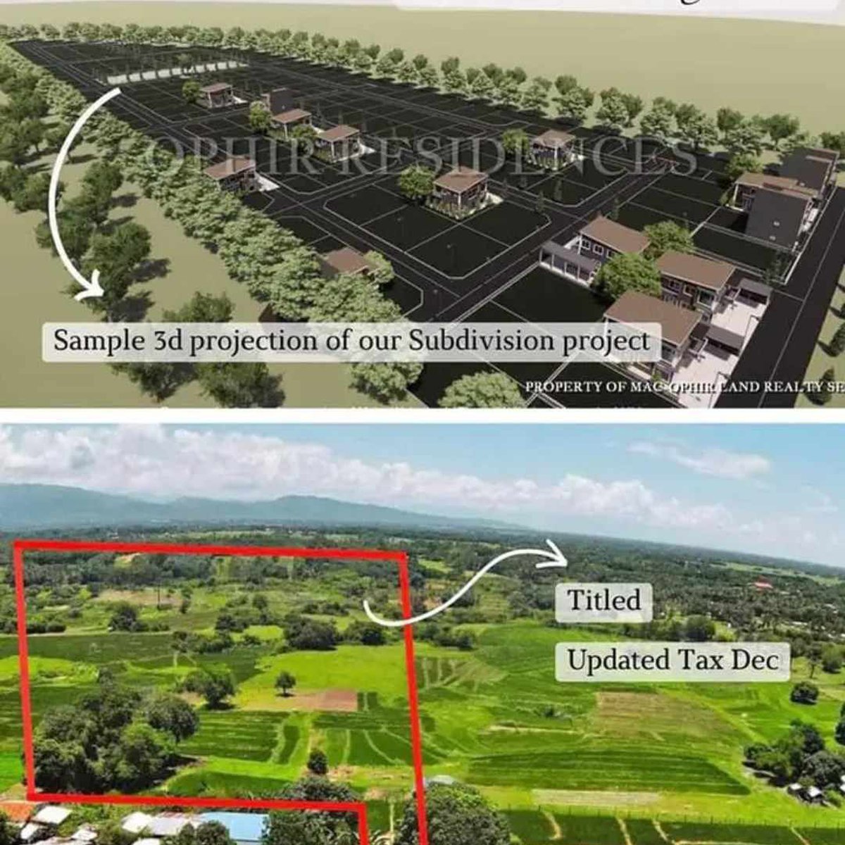 Minimum 100sqm lot for sale cash/installment at San jacinto Pangasinan