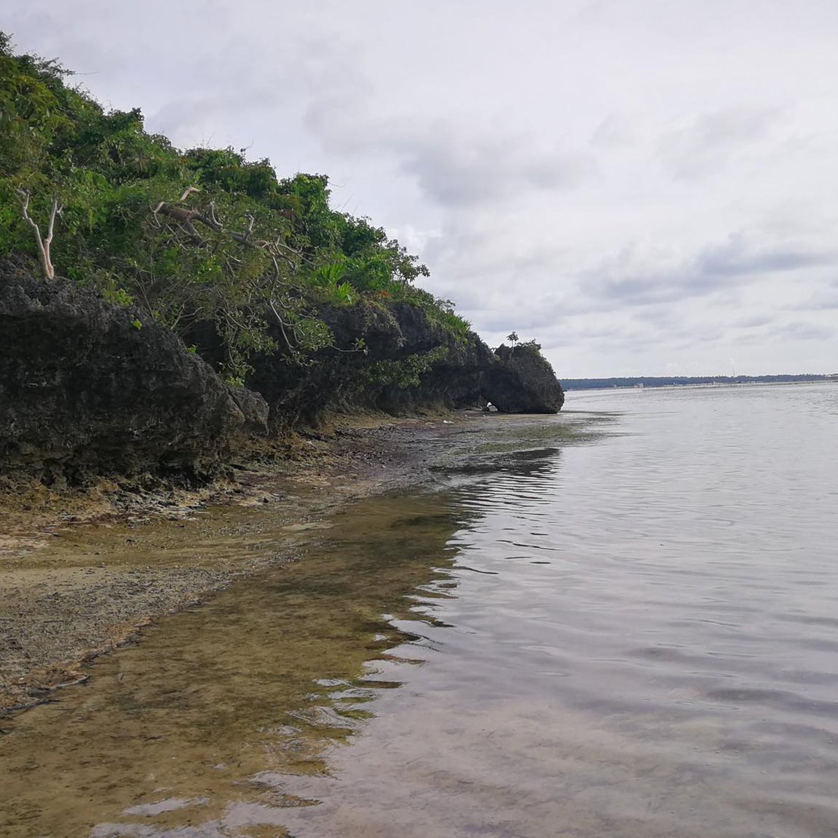 8,372 sqm Beach Property For Sale in Bolinao Pangasinan [Beach Property 🏖️] (August 2024) in