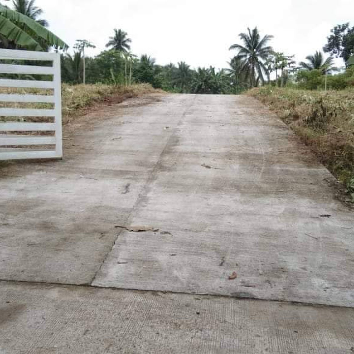 260 sqm Residential Farm For Sale in Amadeo Cavite [Lot 🚜] (July 2024
