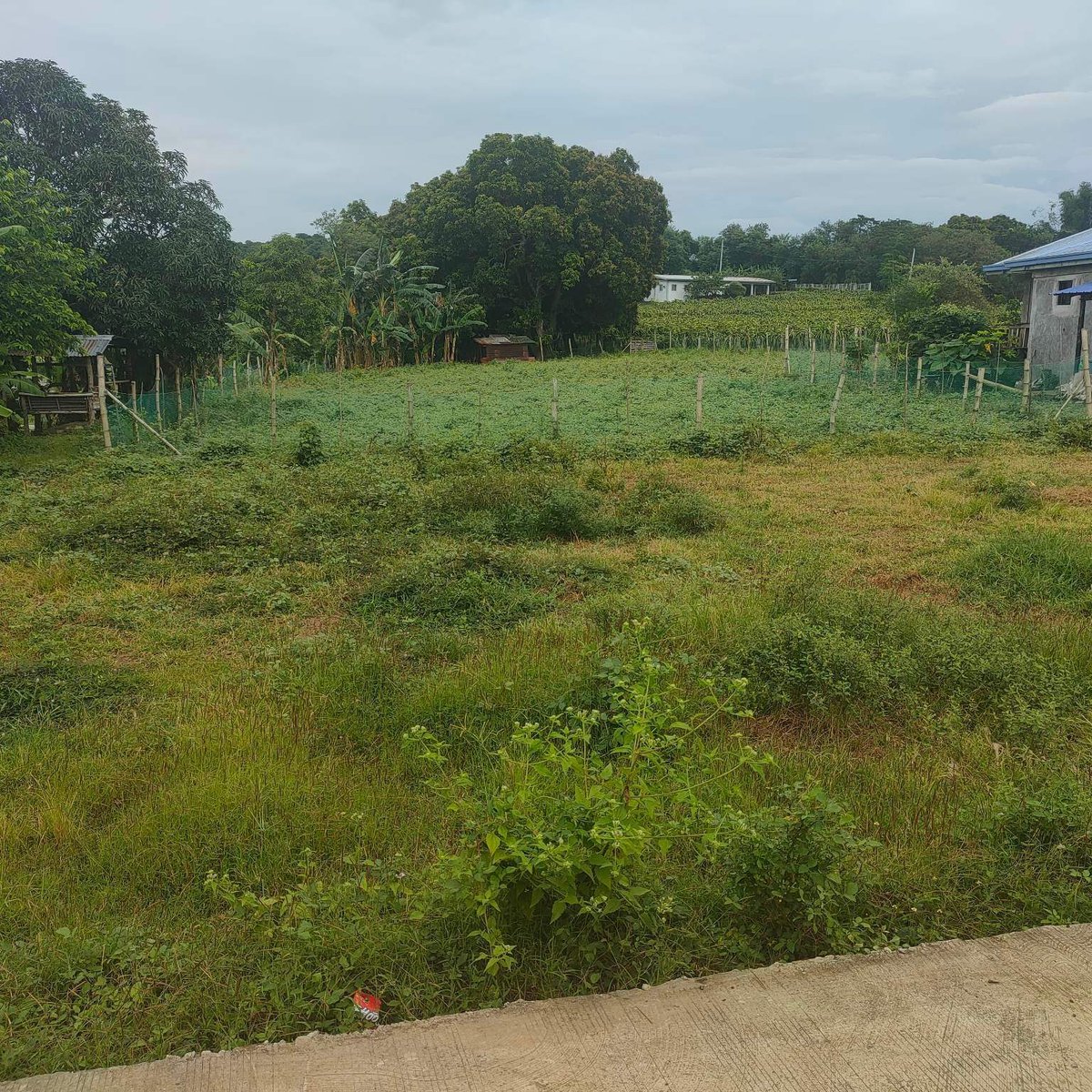 1000sqm Residential Lot for Sale in Nasugbu Batangas [Lot 🚜] (April