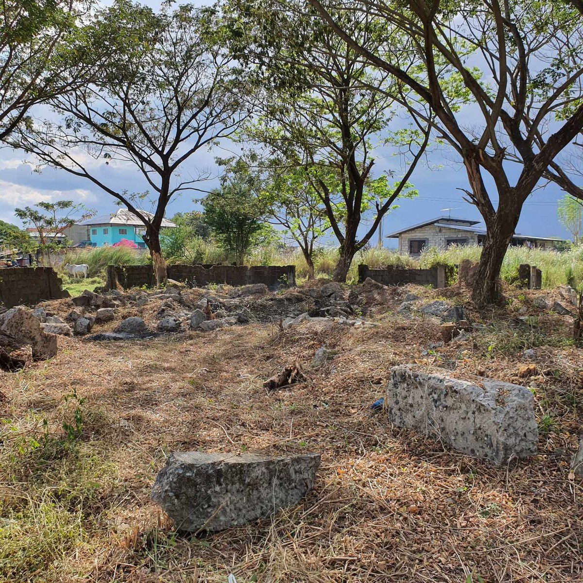 Pinakamurang Residential Lot in Tarlac City [Lot 🚜] (September 2024) in