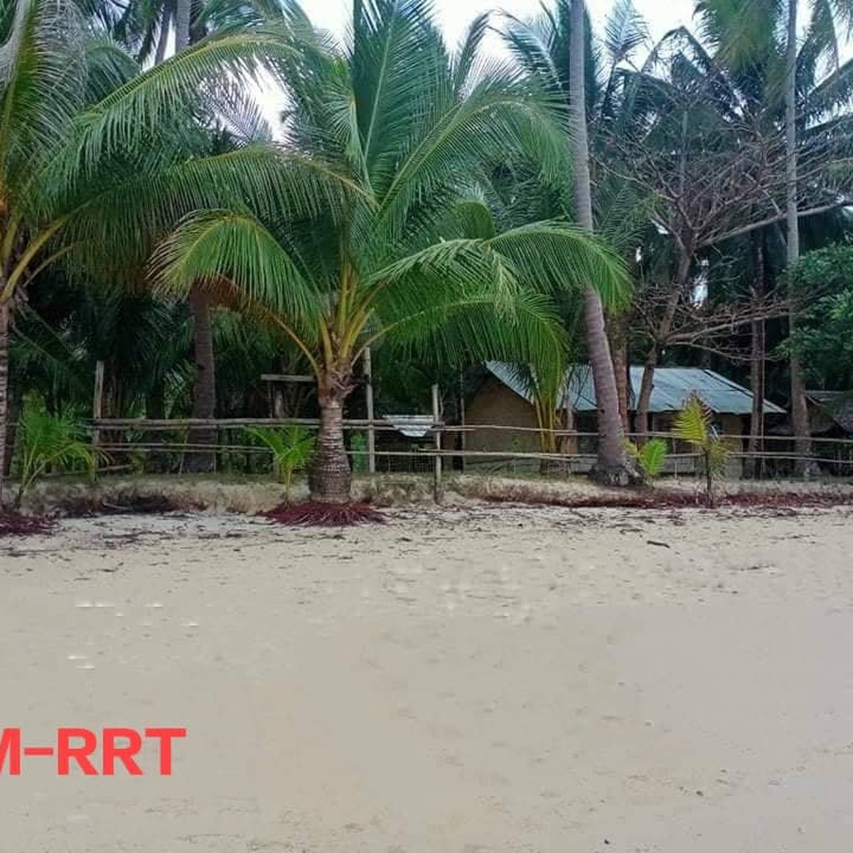 66114 sqm Beach Property For Sale in Palawan Philippines [Beach
