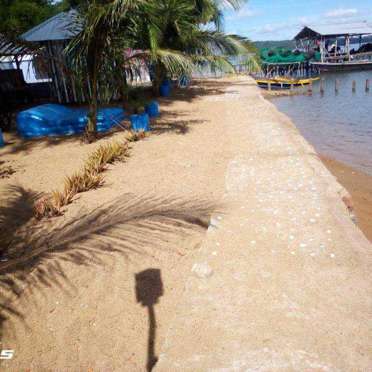 12000 sqm Beach Property in Guimaras [Beach Property 🏖️] (July 2024) in