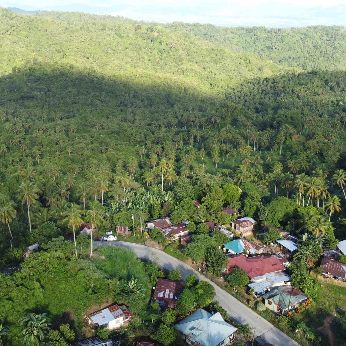 Farm land [Lots 🚜] (August 2024) in Leyte, Leyte for sale