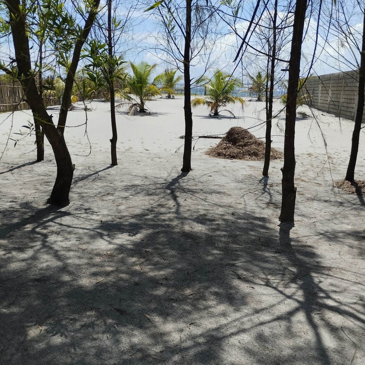 1.500 sqm beach lot for Sale in San Filipe Zambales [Beach Property 🏖️