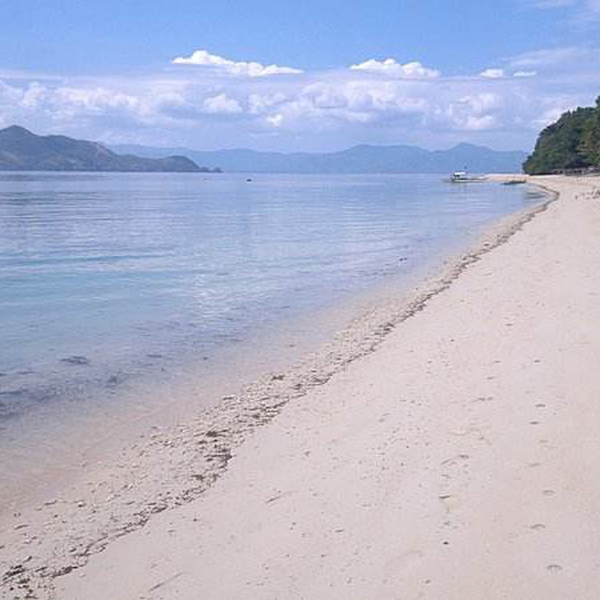 9.2 hectares Beach Property For Sale in Linapacan Palawan [Beach