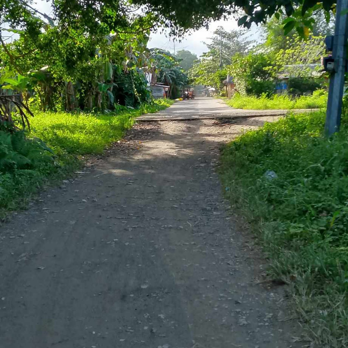 Residential Lots for sale in Sta. Fe Leyte [Lot 🚜] (June 2024) in Santa