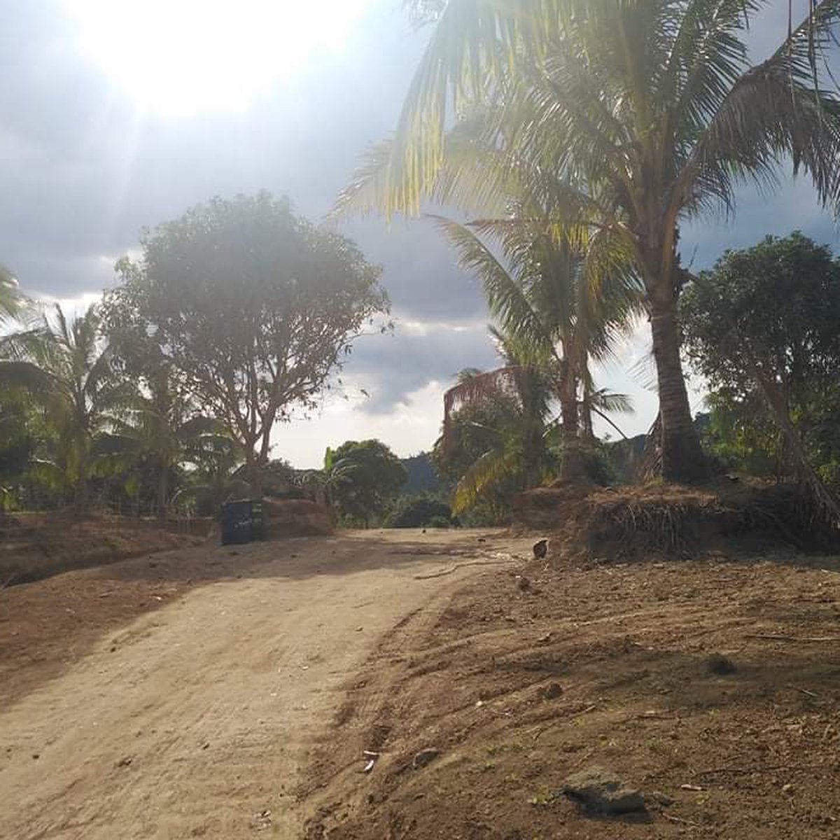 AFFORDABLE RESIDENTIAL FARM LOT IN SAN AGUSTIN Magallanes Cavite [Lot 🚜