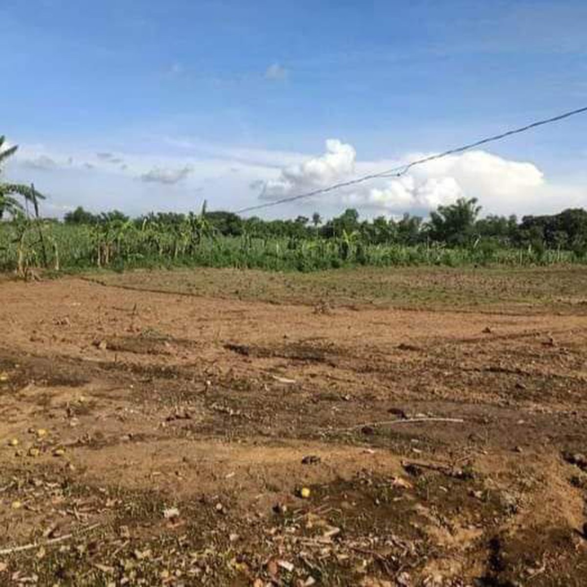 7000 sqm Residential Farm For Sale in Balayan Batangas [Lot 🚜