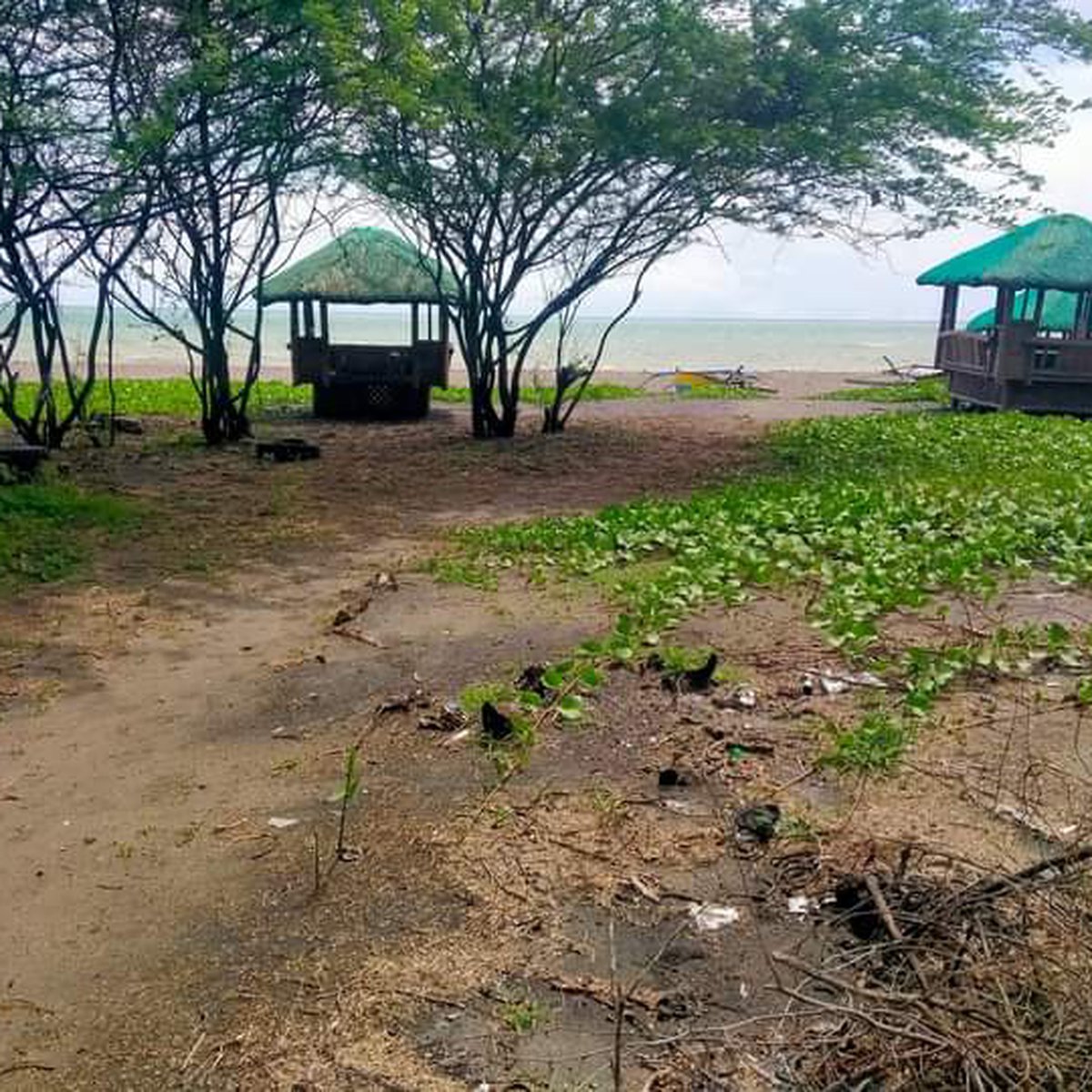 1,320 sqm Beach Property For Sale in Caba La Union [Beach Property 🏖️