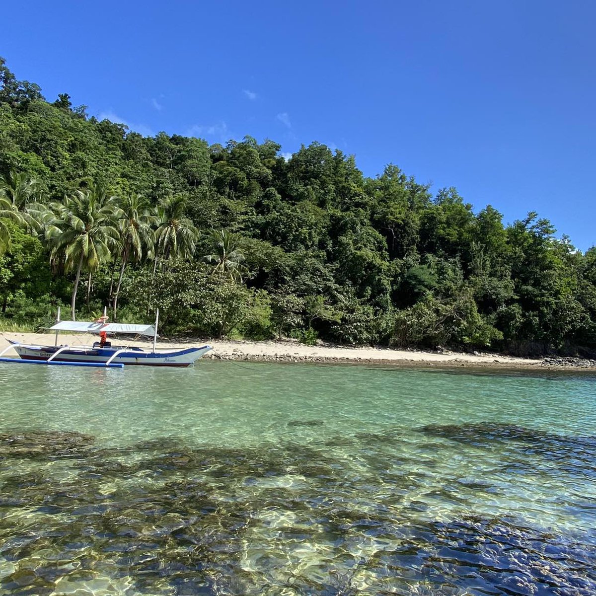 4 hectares Beach Property For Sale in San Vicente Palawan [Beach