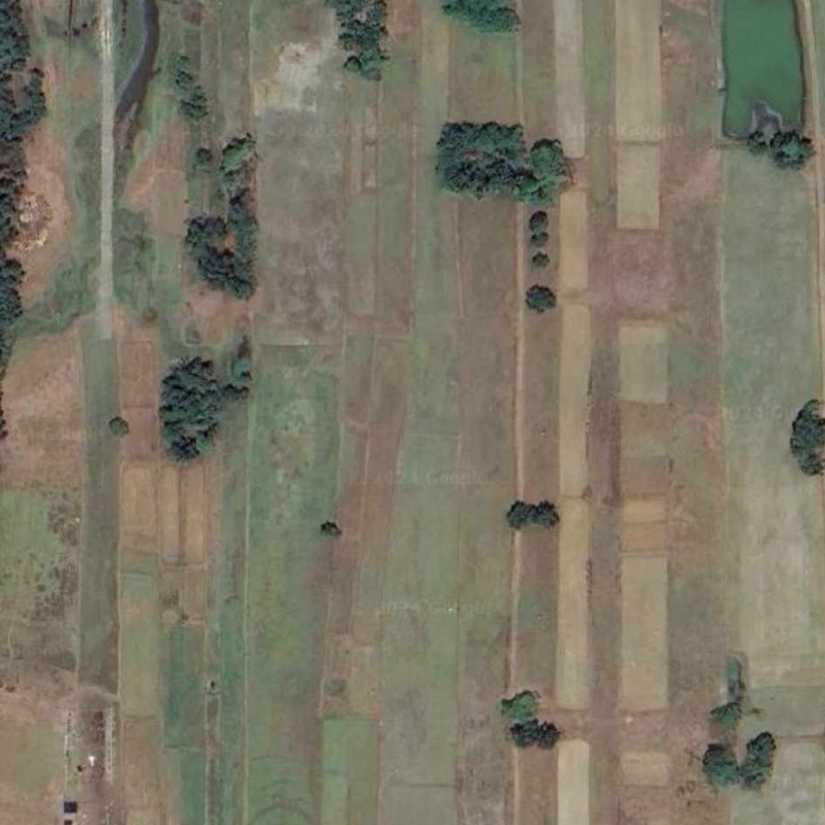 16005600 sqm Beach Property For Sale in Lingayen Pangasinan [Beach