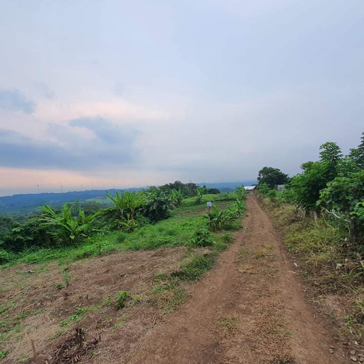 Affordable Farm Lots in Pililia 380k only WITH SKYRANCH SOON [Lot 🚜