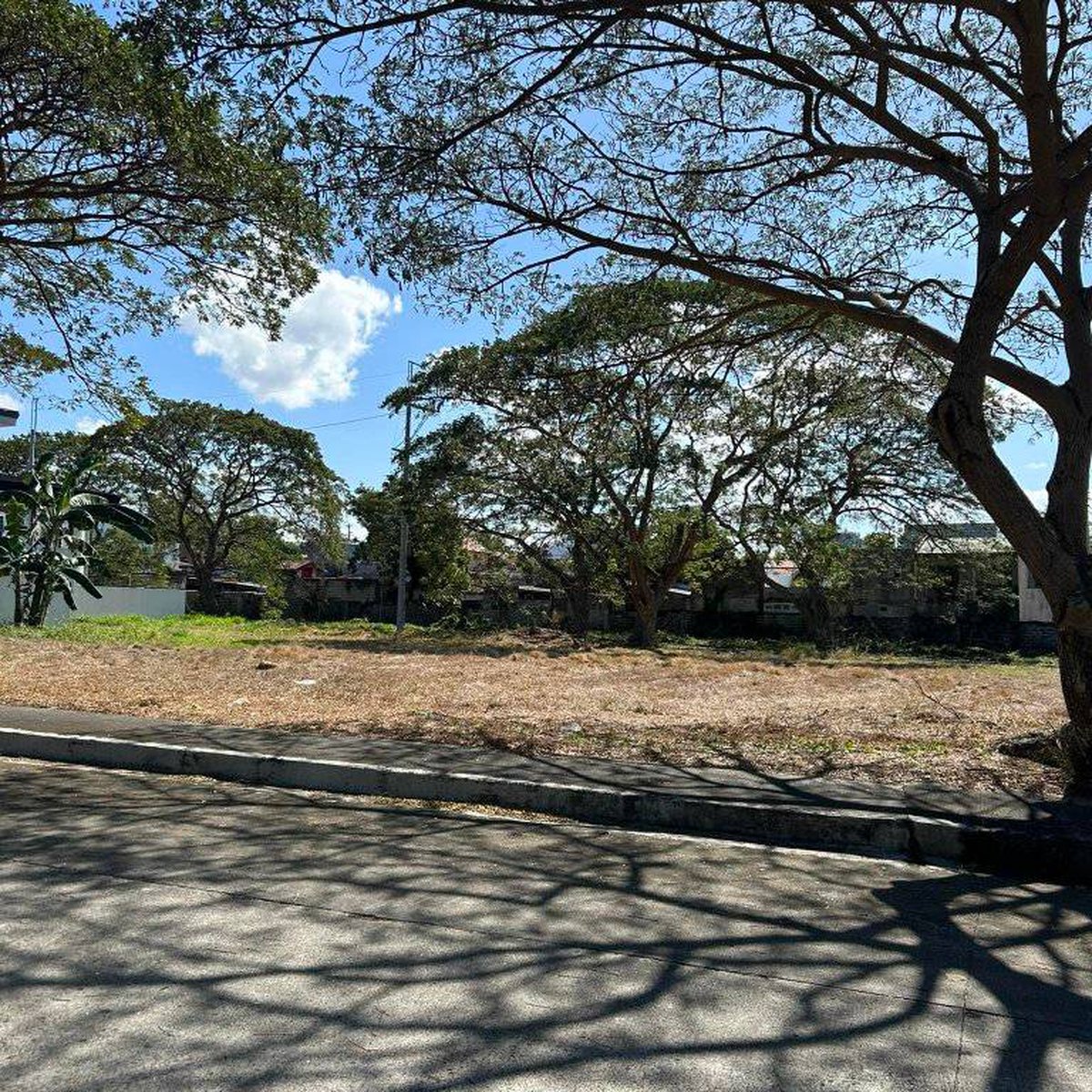 600 sqm. Residential lot For Sale in Orchard Golf Dasmarinas Cavite [Lot 🚜] (March 2024) in