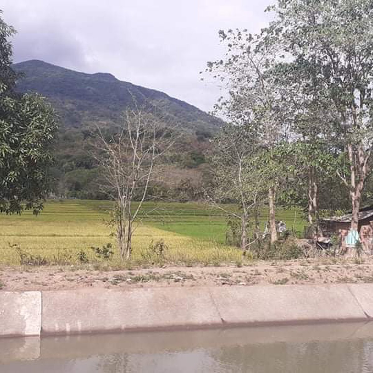 580000 sqm Agricultural Farm For Sale in Arayat Pampanga [Lot 🚜] (March 2022) in Arayat