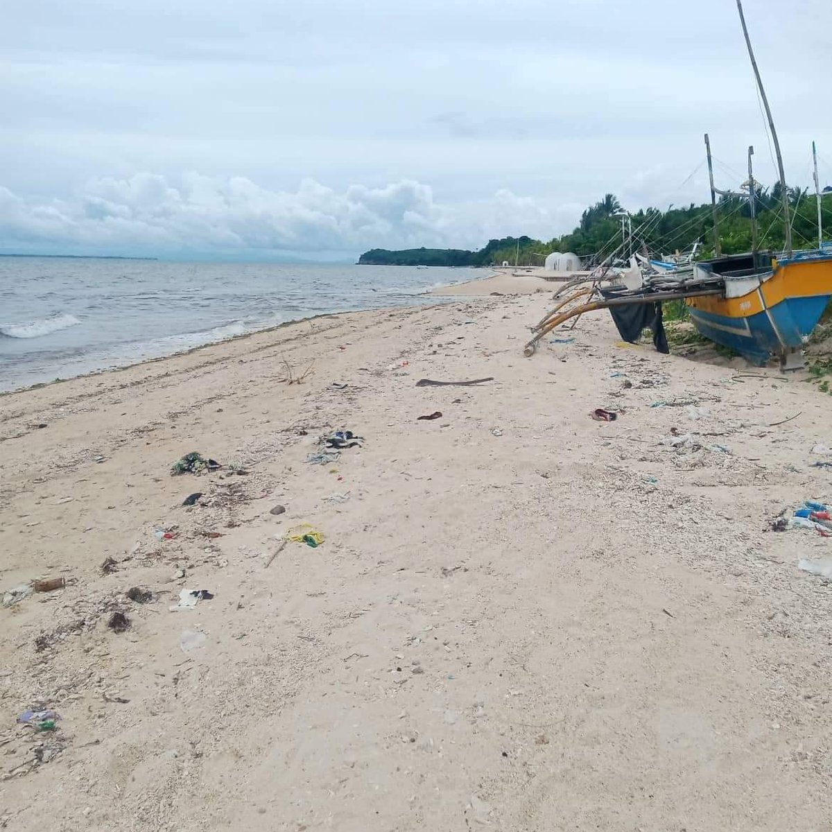 200 sqm Beach Property For Sale in Daanbantayan Cebu [Beach Property 🏖️
