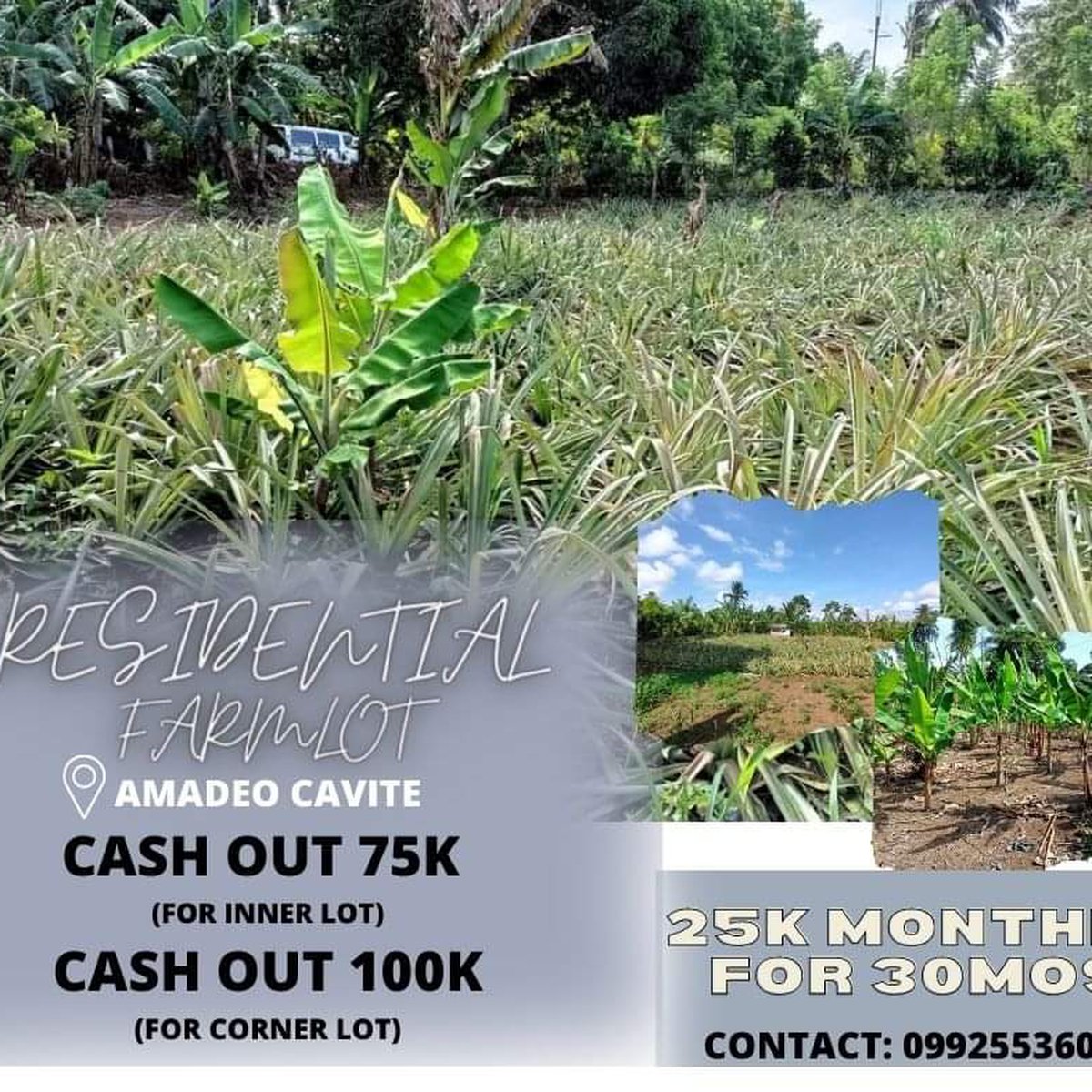 RESIDENTIAL FARMLOT IN AMADEO CAVITE [Lot 🚜] (June 2022) in Amadeo
