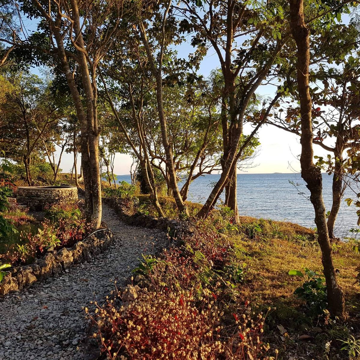 1,180 sqm Beach Property For Sale [Beach Property 🏖️] (September 2024