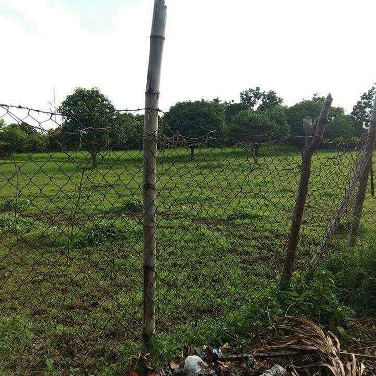 500 sqm Lot For Lease in Calatagan Batangas [Lot 🚜] (April 2024) in
