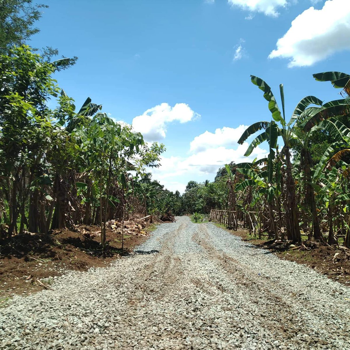 1000 sqm Agricultural Farm For Sale in Alfonso Cavite [Lot 🚜