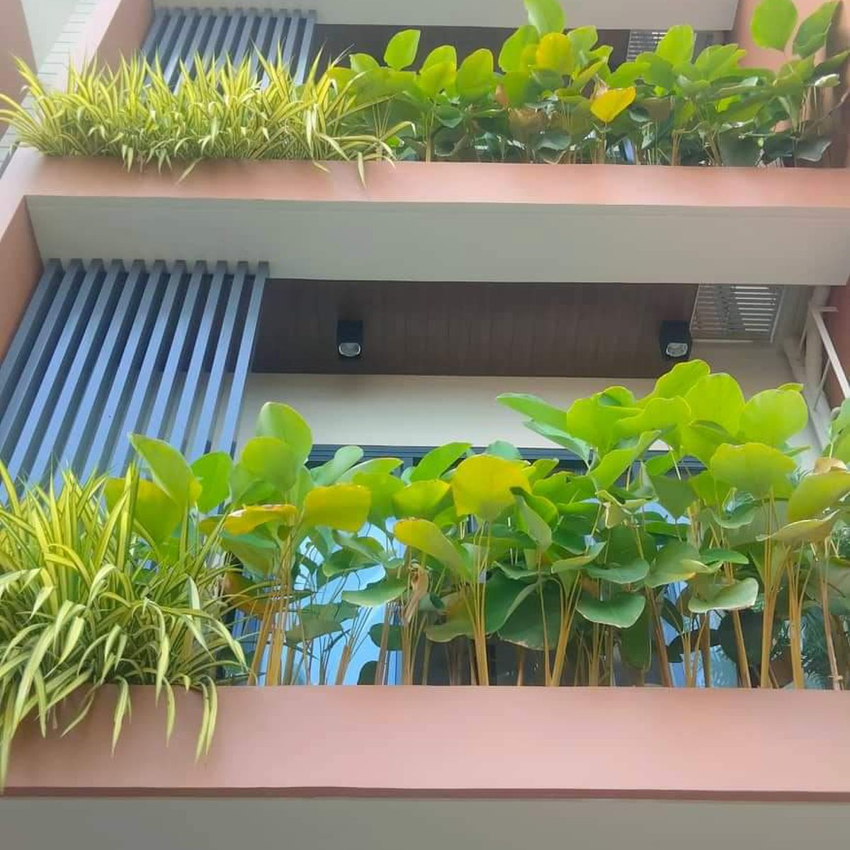 BRAND NEW TOWN HOUSE FOR SALE IN CUBAO QUEZON CITY [House and