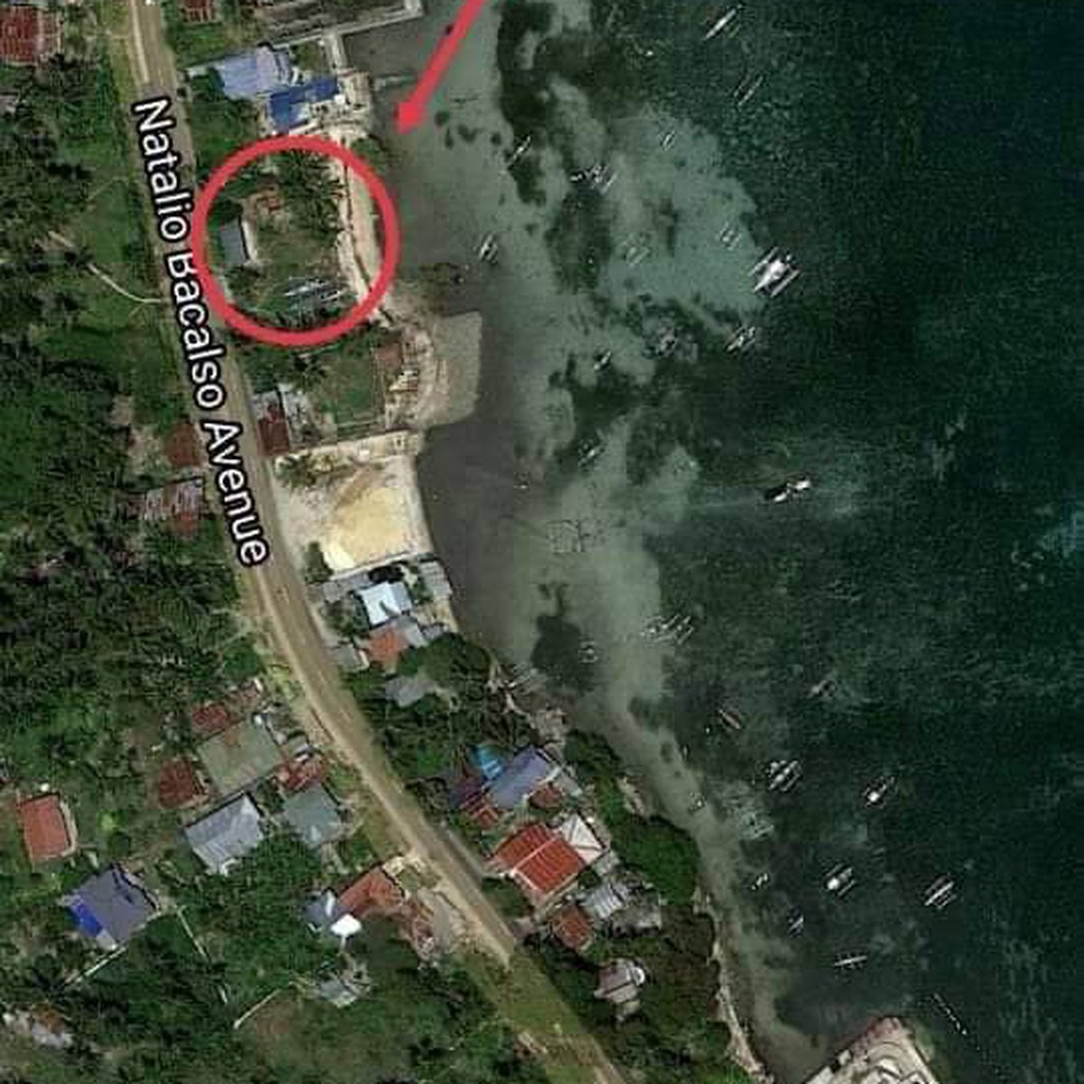 487 sqm Beach Property For Sale in Dalaguete Cebu [Beach Property 🏖️