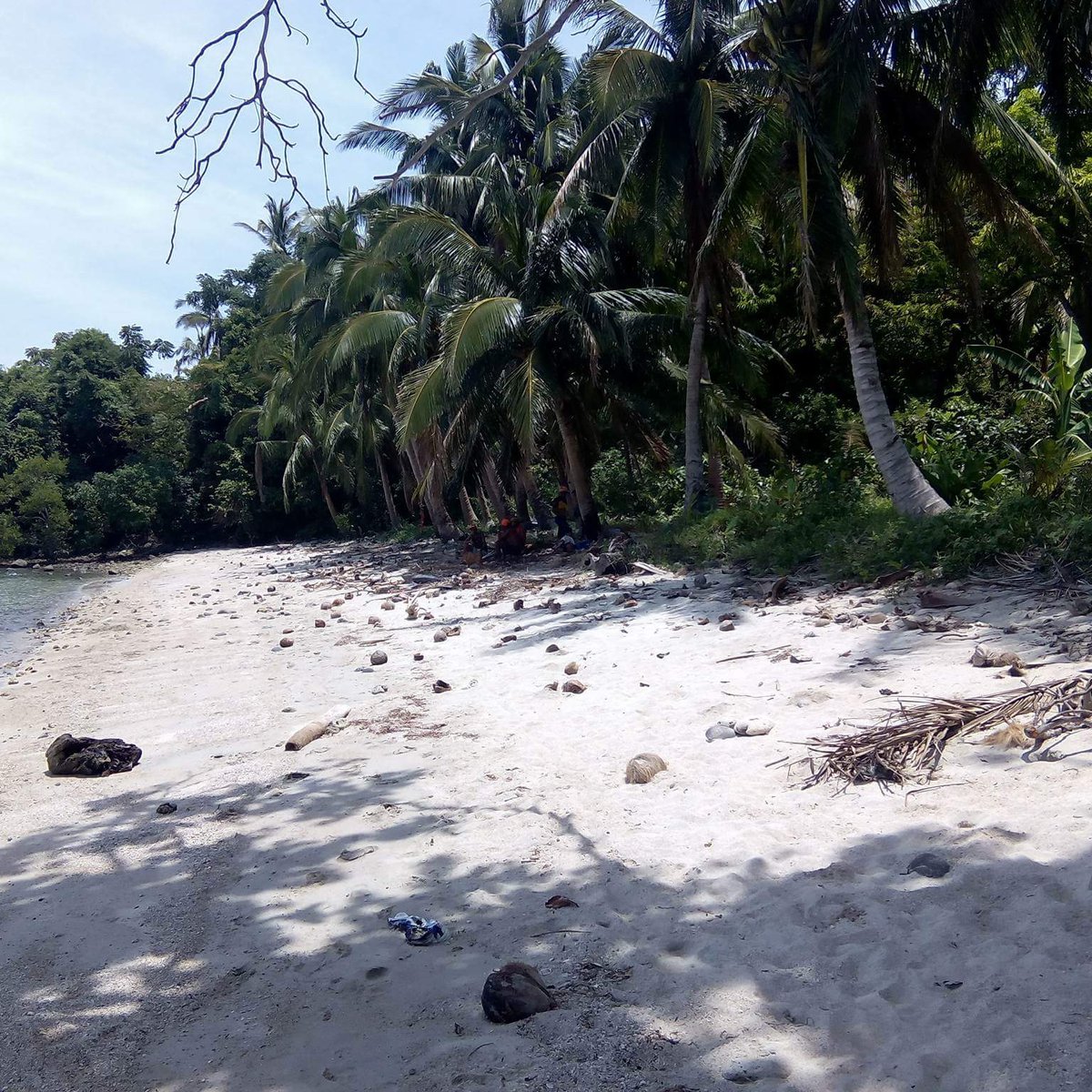 52P. 9ha Agriland Land for sale,Taguan,Misong,Pola, Oriental Mindoro
