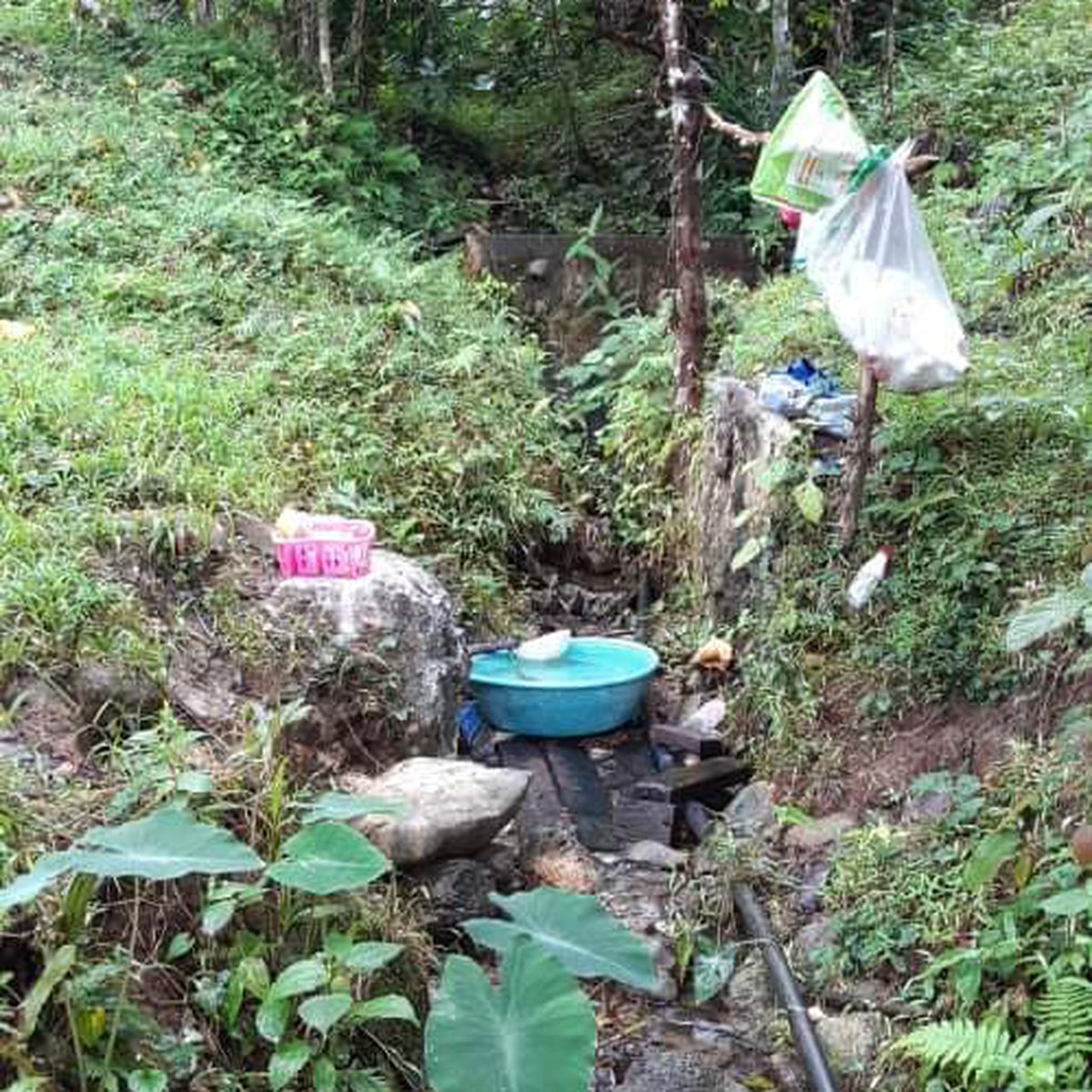 12000 sqm.agriindustrial farm for sale in atimonan quezon. [Lot 🚜