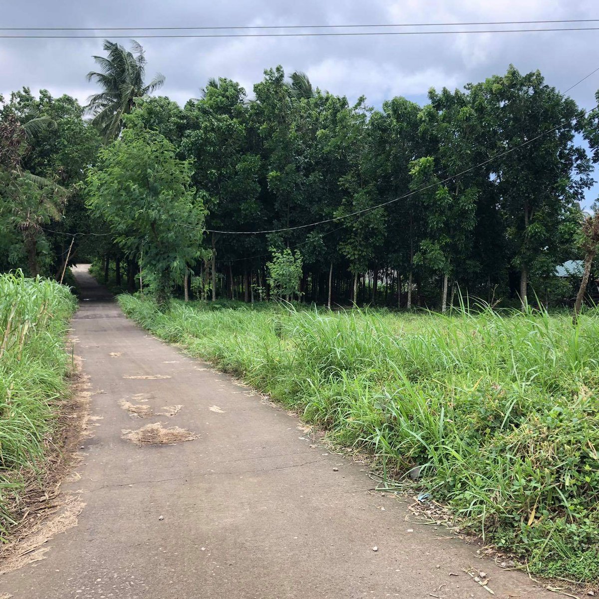 2000 sqm Residential Farm For Sale in Calaca Batangas [Lot 🚜] (February