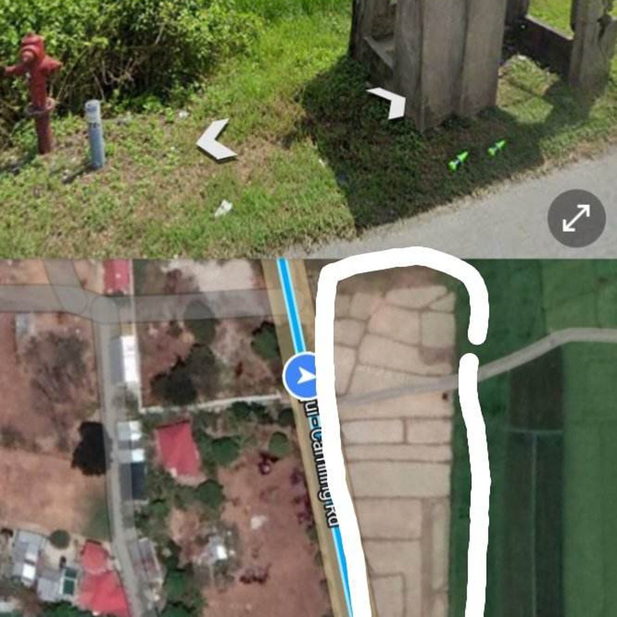 Rice farm lang alongside paniqui Camiling highway [Lot 🚜] (May 2023) in