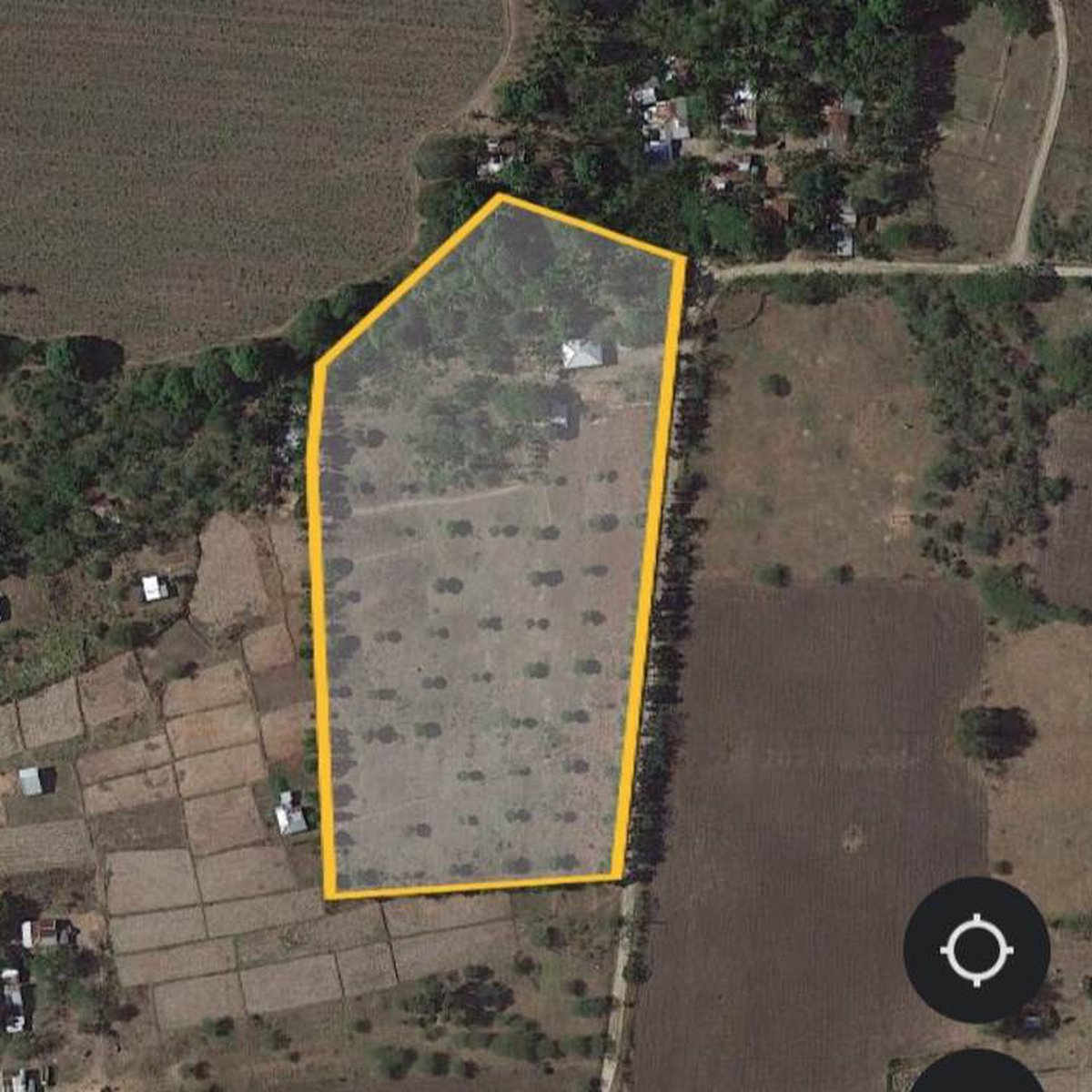 2 Hectares Mango Farm for Sale in Rosario, Batangas [Lot 🚜] (August