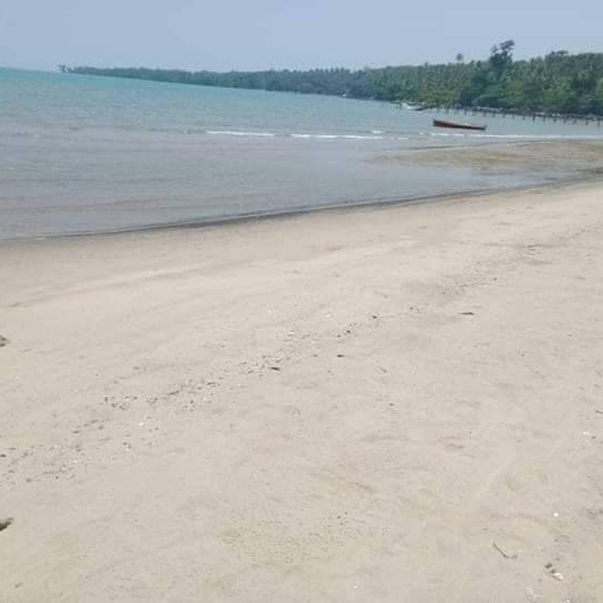 Beach Property for Sale in Palawan [Beach Property 🏖️] (September 2024