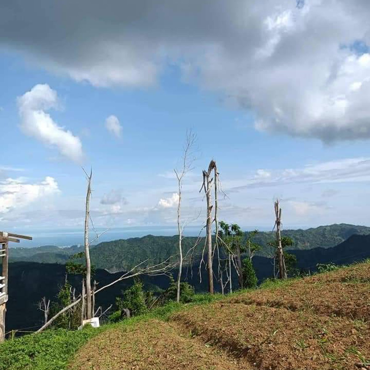 500 sqm Raw Land For Sale in Busay, Cebu City Cebu [Lot 🚜] (July 2024